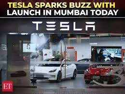 Tesla Model Y India
